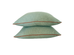 Aqua Cushions piped thumbnail 3