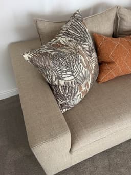 Karoo Aloe thumbnail 3