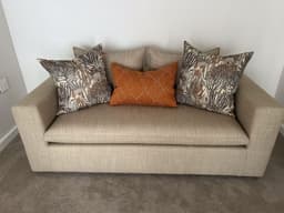 Karoo Aloe thumbnail 4